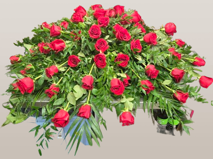 20250424_133133-removebg-preview (1)